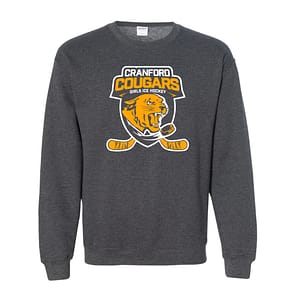 PFO Carolina Blue Pullover Hoodie – adult-medium