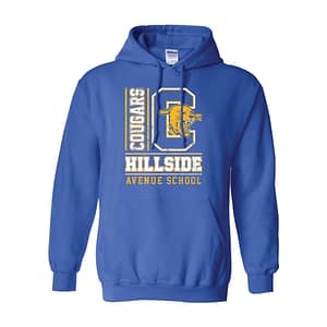 Hillside Ave. School Pullover Hoodie