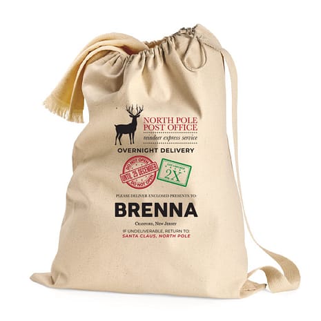 ReindeerExpressServiceBag