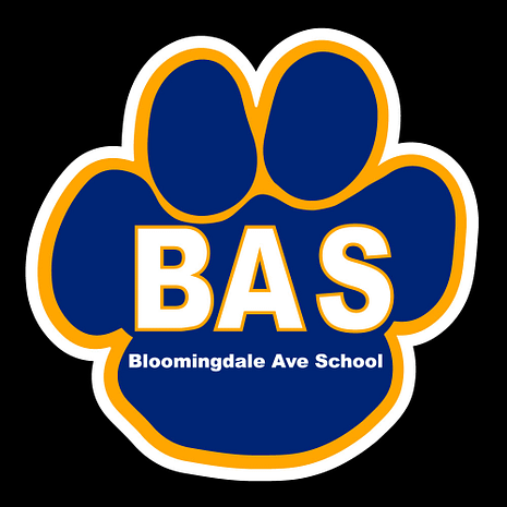 BAS_Magnet_2021_Design