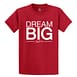 Big Daddy Dream Big Tee