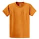 Big Daddy Basics in texas Orange