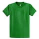 Big Daddy Basics Tee in Athletic Kelly Green