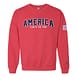 BD01410165_AmericaFeltAppliquCrewneck-HeatherRed